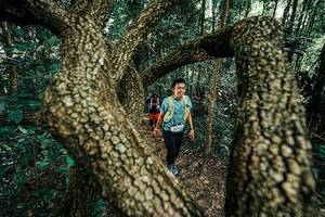 BIB: 
                            <button type="button" onclick="openModal(25392609)" class="btn btn-primary btn-sm float-right btn-popup" data-toggle="modal" data-target=".modal-high-quality">
                        <i class="fas fa-shopping-cart"></i> Add to Cart
                    </button>
                                            <button type="button" onclick="isThisMe(25392609, true)" class="btn btn-success btn-sm float-right btn-popup btn-isme hidden" data-toggle="tooltip" data-placement="bottom" title="นี่คือรูปของคุณใช่ไหม คลิกที่นี่เพื่อเอาเข้าอัลบั้ม">
                        <i class="fas fa-plus"></i> Add to album
                    </button>
                    <button type="button" onclick="isThisMe(25392609, false)" class="btn btn-warning btn-sm float-right btn-popup btn-isnotme hidden">
                        <i class="fas fa-ban"></i> Remove from album
                    </button>